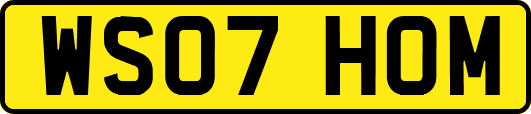 WS07HOM