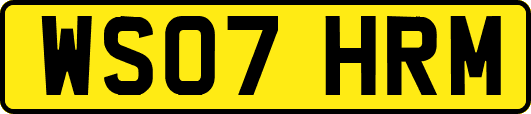 WS07HRM