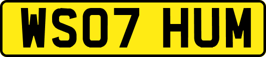 WS07HUM