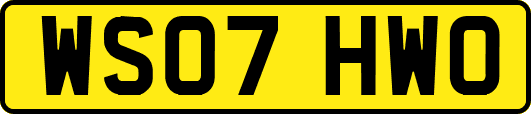 WS07HWO