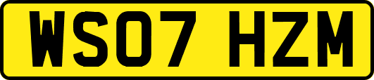 WS07HZM