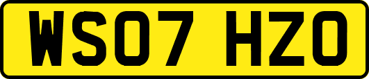 WS07HZO