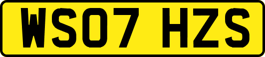 WS07HZS