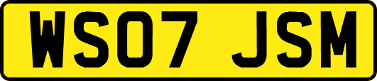 WS07JSM