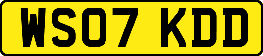 WS07KDD