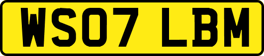 WS07LBM