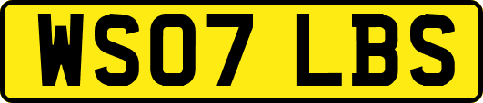 WS07LBS