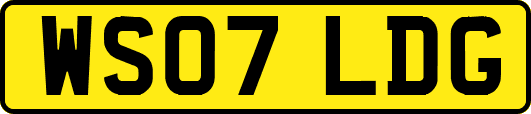 WS07LDG