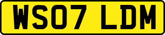 WS07LDM