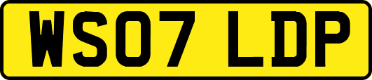 WS07LDP