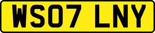 WS07LNY