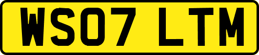 WS07LTM