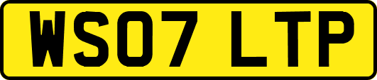 WS07LTP