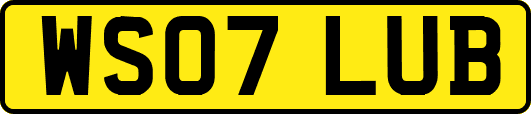 WS07LUB