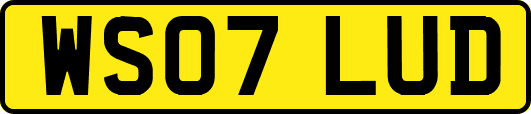 WS07LUD