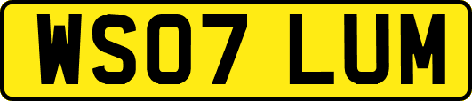 WS07LUM