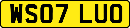 WS07LUO