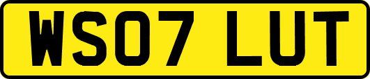 WS07LUT