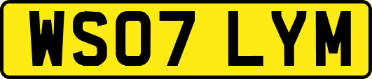 WS07LYM