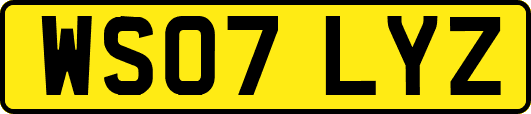 WS07LYZ