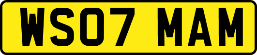 WS07MAM