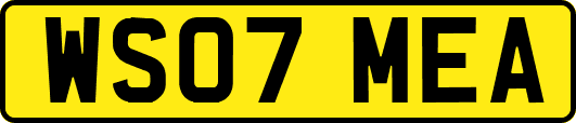 WS07MEA