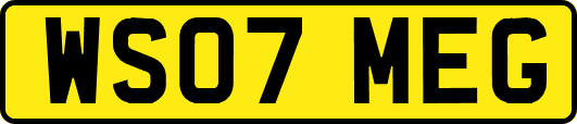 WS07MEG