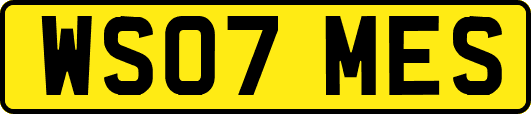 WS07MES