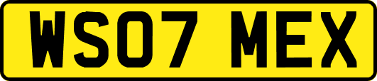WS07MEX