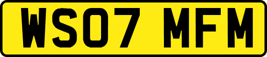 WS07MFM