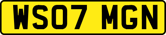 WS07MGN