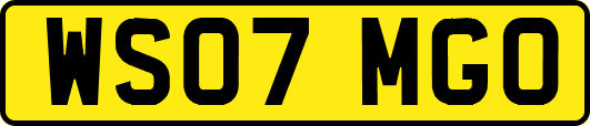 WS07MGO
