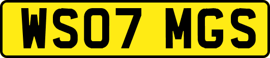 WS07MGS