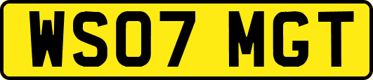 WS07MGT