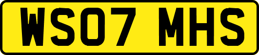 WS07MHS