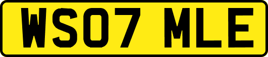 WS07MLE