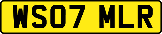WS07MLR