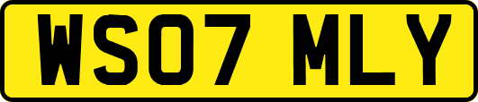 WS07MLY