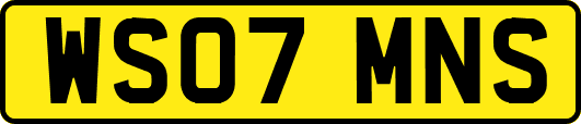 WS07MNS