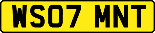 WS07MNT