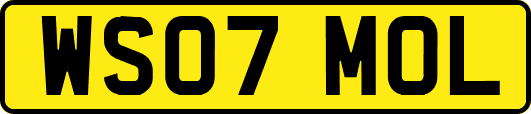 WS07MOL