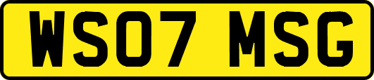 WS07MSG