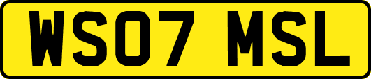 WS07MSL