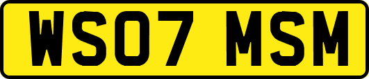 WS07MSM