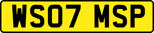 WS07MSP
