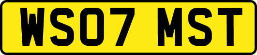 WS07MST