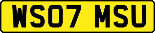 WS07MSU