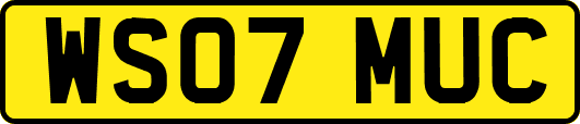 WS07MUC
