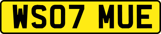WS07MUE
