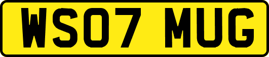 WS07MUG